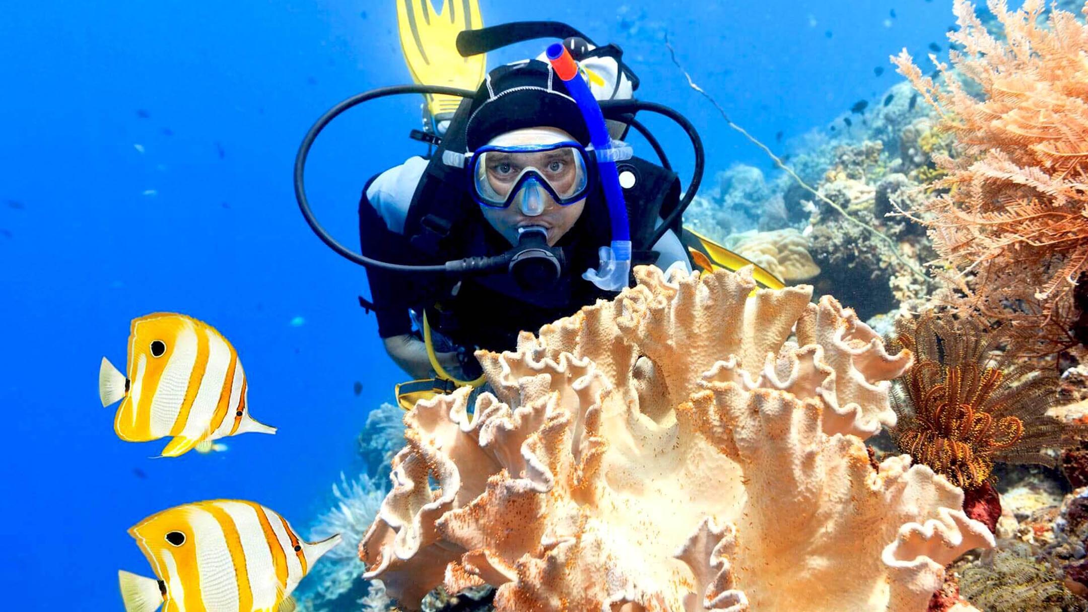 Disturbed coral reefs