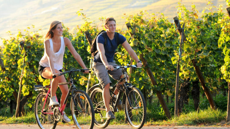 Sixth World Wine Tourism Forum