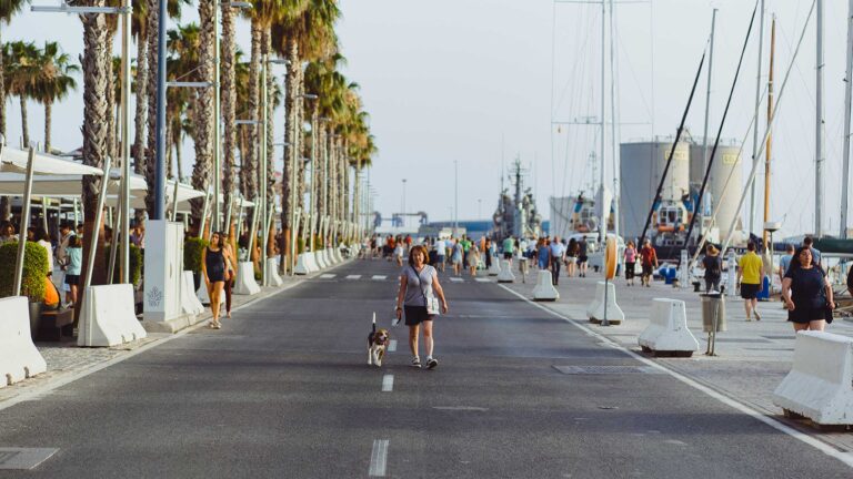 Where to live in Los Angeles: neighborhoods