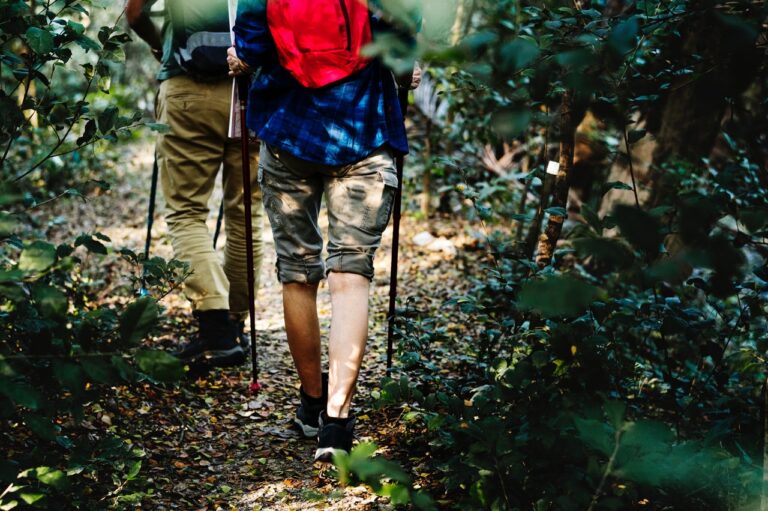 Tourism’s Potential for Mountain Ecosystems