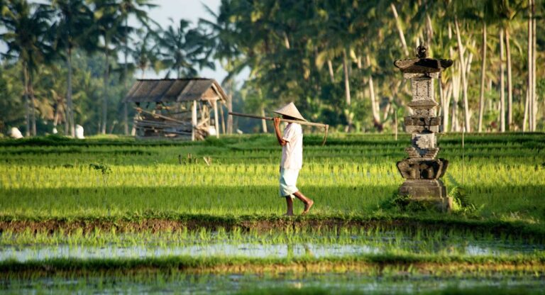 Understanding the Balinese calendar