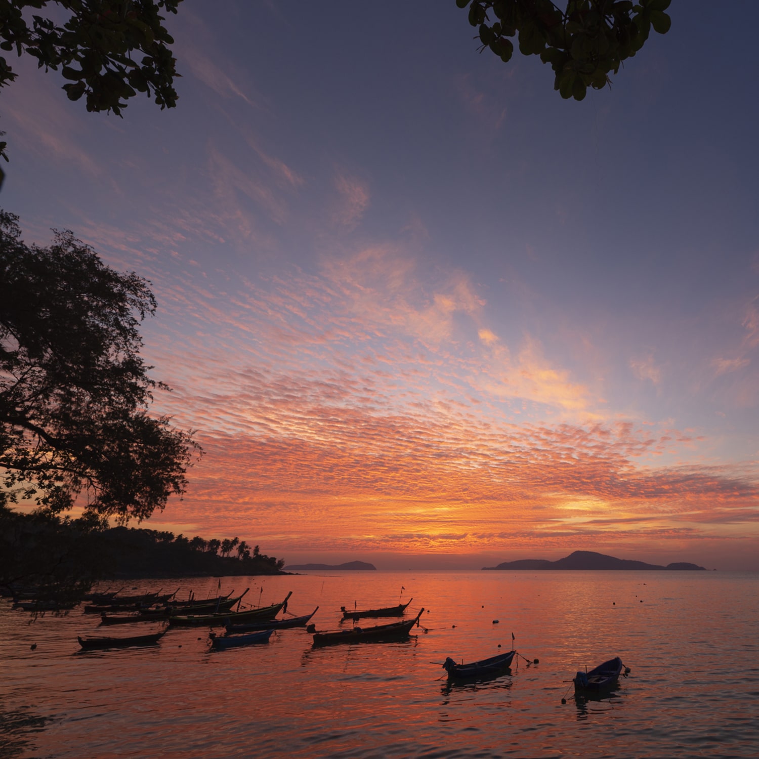 Discover Real Phuket.